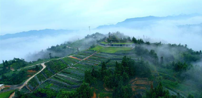 房县新获批创建全国绿色食品原料标准化生产基地