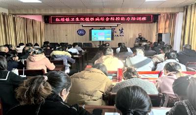红塔镇卫生院开展慢性病综合防控能力培训