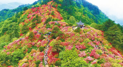 龟峰山晋升国家5A级景区的背后——从“人间四月天”到“四季皆好玩”