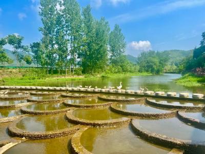 房县中坝乡：国评专家助力漳兰河酒业 共铸2025发展新辉煌