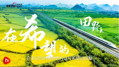 中南海年刊｜奋进中国