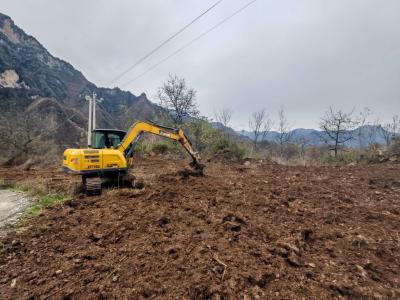 九道乡：多管齐下稳烟业   三早”并进开新局