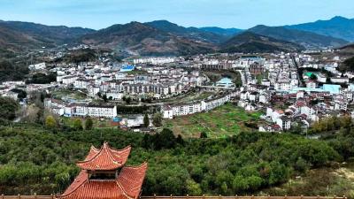贺词里的民生牵挂