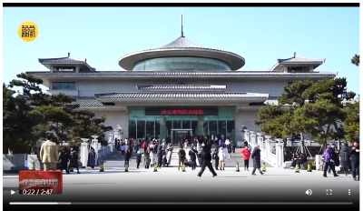 何以中国丨西安博物院：探寻文物中的蛇元素 感受传统文化魅力