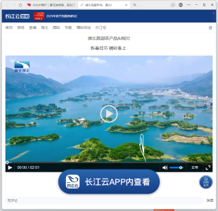 湖北宝藏年味，真AI！