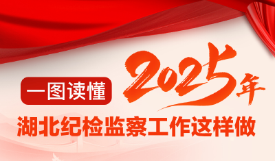 一图读懂 | 2025年湖北纪检监察工作这样做