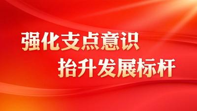 请人民阅卷