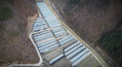 《记者走基层》 胡光明：返乡创业 助力乡村振兴