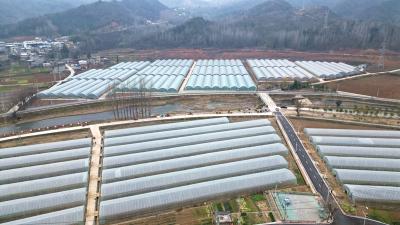 荣膺国家物流枢纽！为什么是荆州？