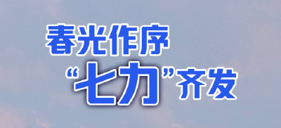 春光作序 “七力”齐发