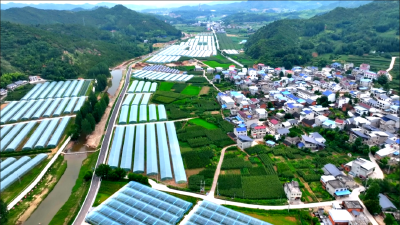 房县化龙堰镇：强农兴产促发展，乡村振兴阔步行·