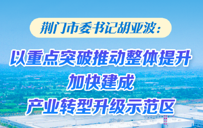 荆门市委书记胡亚波：以重点突破推动整体提升 加快建成产业转型升级示范区