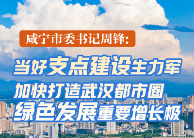咸宁市委书记周锋：当好支点建设生力军 加快打造武汉都市圈绿色发展重要增长极