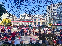 春醒 万物共舞 赏梅正当时