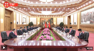 独家视频丨习近平：中文共建命运共同体 开启了中文关系崭新篇章