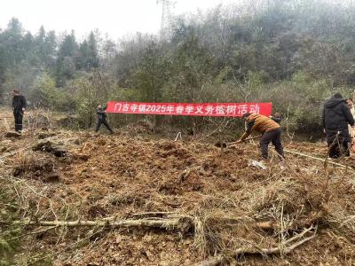 门古寺镇：“植”此青绿正当时  党建引领添新绿