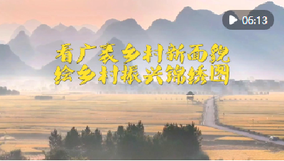 微视频｜看广袤乡村新面貌 绘乡村振兴锦绣图