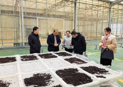 省农合办金国胜一行来房调研农民合作社工作