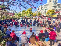 春醒 万物共舞 赏梅正当时