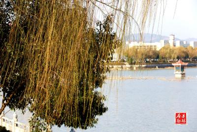 幕后故事 一次采访中的懊悔与庆幸