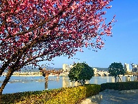 春醒 万物共舞 赏梅正当时