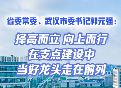 省委常委、武汉市委书记郭元强：择高而立 向上而行 在支点建设中当好龙头走在前列