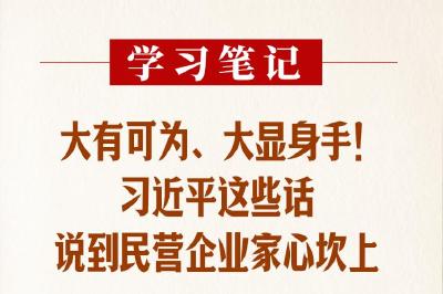 学习笔记丨大有可为、大显身手！习近平这些话说到民营企业家心坎上