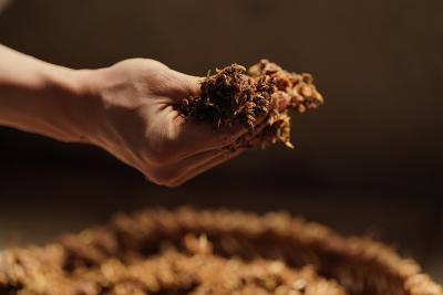 漳兰河酒业：践行绿色理念 酒糟再利用助力养殖业降本增效