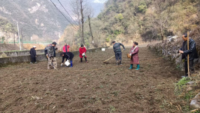 青山藏“金”记——门古探索林