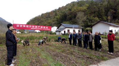 化龙堰镇汪家河村：林下“生金”势头好  生态富民产业兴