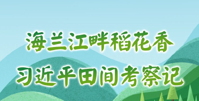 学习·故事丨海兰江畔稻花香 习近平田间考察记