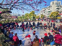 春醒 万物共舞 赏梅正当时