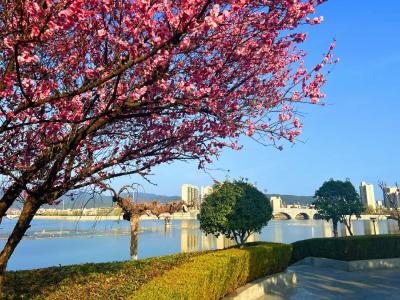 牢记嘱托 建成支点·市州委书记说①丨共建全国科技创新高地