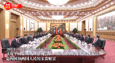 独家视频丨习近平同巴基斯坦总统会谈：历