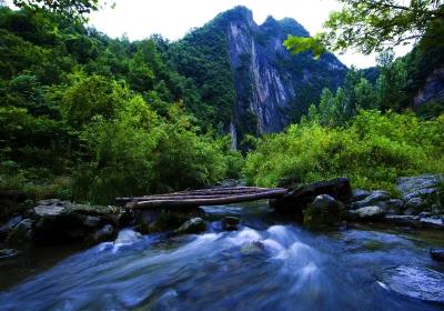 喜讯！房县这项工作获评全省“优秀”等次