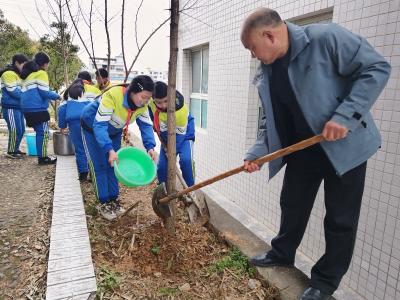 军店镇月明小学：小手添绿绽春辉 校园育树润童心