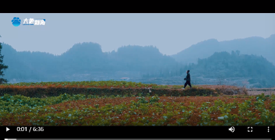 “村”潮涌动的中国