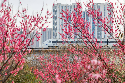 共赴“春天的约定”