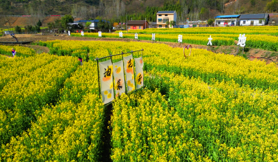 争当发展“小老虎” 绘就镇域“大荆彩” | 荆州经开区鱼农桥街道“领跑”的背后