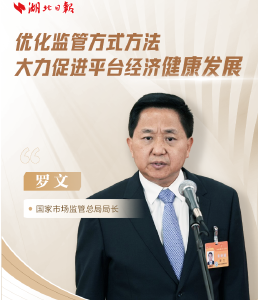 全国两会“三大通道”上，这些闪耀的“湖北身影”