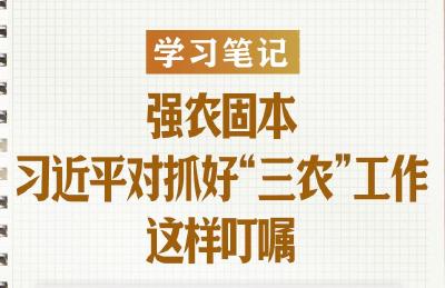 学习笔记｜强农固本，习近平对抓好“三农”工作这样叮嘱