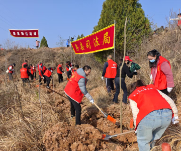 房县司法局：春光好时节，植树添新绿