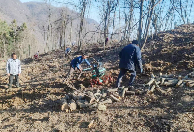 沙河乡：“一菇两叶三基地”助力群众增收