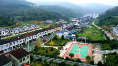 沙河乡：凝心聚力促就业 富民增收助振兴