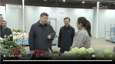 这份“美丽产业”为乡村振兴锦上添“花”