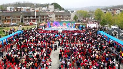 荆楚“红色文艺轻骑兵”走进房县