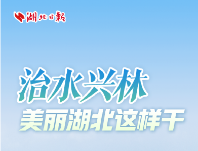 治水兴林，美丽湖北这样干