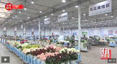 时政现场说丨“美丽产业”造福群众 生活像花儿一样美