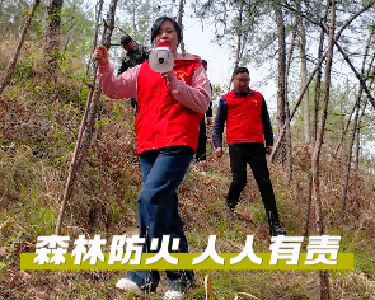 防火护林，防患于未“燃”