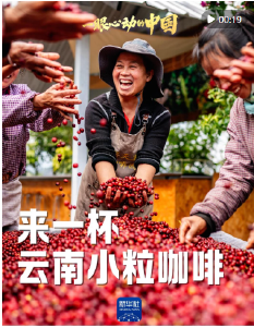 一眼心动的中国｜来一杯云南小粒咖啡